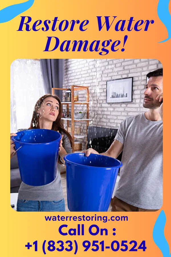 water restoration Coastal Flood Damage Contractors Dellroy