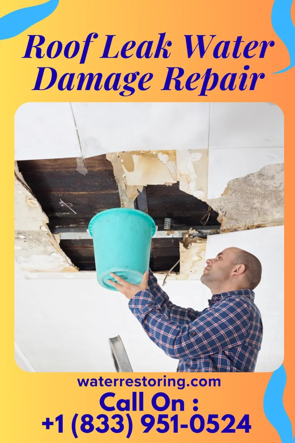 Roof Leak Water Damage Repair in Dellroy, OH