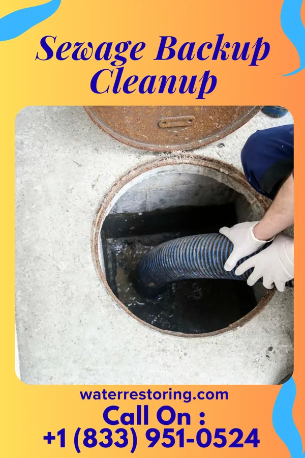 Sewage Backup Cleanup in Dellroy, OH